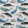 Jersey Cotton Fabric Digital Print - Sea Animals