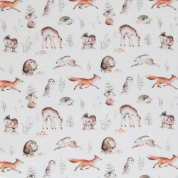 Jersey Cotton Fabric Digital Print - Woodland Animals