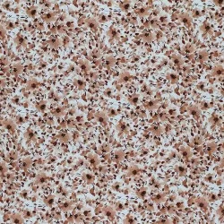 Jersey Di Cotone Stampa Digitale - Fiore Di Riempimento Marrone Chiaro Jersey Di Cotone Stampa Digitale - Fiore Di Riempimento Marrone Chiaro