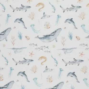 Whale jersey fabric discount