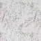 Cotton Poplin Digital Print - Nature Leaves  - (Cotton Poplin Printed)