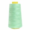 Overlock Thread Mint 755