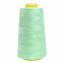 Overlock Thread Mint 755