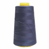Fils à Coudre Overlock Marine 841