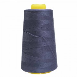 Overlock Thread Navy 841