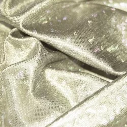 Tissu Hologramme Feuille Beige Clair