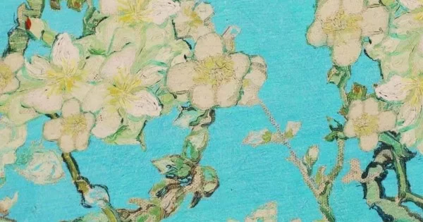 Digital Print Bamboo Jersey - Van Gogh Almond Blossom Digital Print Bamboo Jersey - Van Gogh Almond Blossom