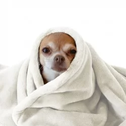 Coral Fleece Ecru Coral Fleece Ecru