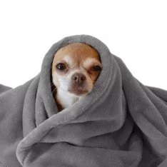 Tissu Polaire Wellness Gris