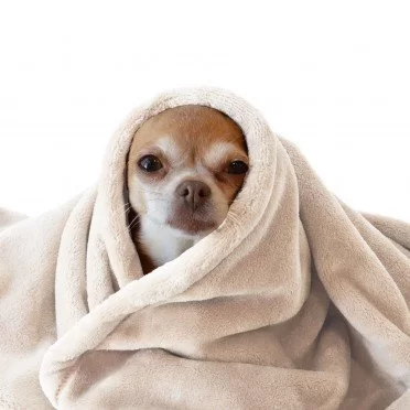 Wellness Fleece Beige - (Fleecestoffer)