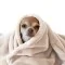 Wellness Fleece Beige - (Fleecestoffer)