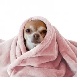 Polar Minky Gładki Nagi Różowy Polar Minky Gładki Nagi Różowy