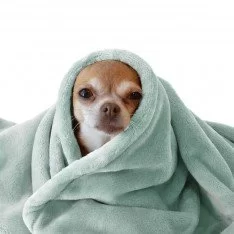 Tissu Polaire Wellness Mer Verte