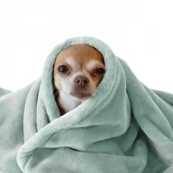 Coral Fleece Sea Green Coral Fleece Sea Green