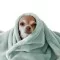 Wellness Fleece Meer Grün - (Fleece Stoffe)