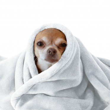 Tissu Polaire Wellness Blanc Tissu Polaire Wellness Blanc - (Polaire Tissus)