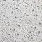 Cotton Poplin Digital Print - Beauty Flower Ecru - (Cotton Poplin Printed)