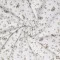 Cotton Poplin Digital Print - Beauty Flower Ecru - (Cotton Poplin Printed)