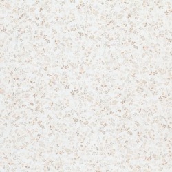 Poplin Katoen Digitale Print - Beige Wilde Bloem
