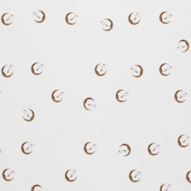 Bomuldjersey Digital Print - Måne Bomuldjersey Digital Print - Måne - (Bomuldjersey Digitaltryk)