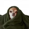 Coral Fleece Army Green - (Fleece Fabrics)