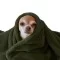 Coral Fleece Army Green - (Fleece Fabrics)