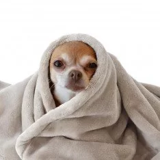 Wellness Fleece Donker Beige Wellness Fleece Donker Beige