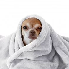 Tissu Polaire Wellness Gris Clair