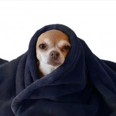 Tissu Polaire Wellness Marine