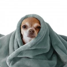 Tissu Polaire Wellness Vieux Vert