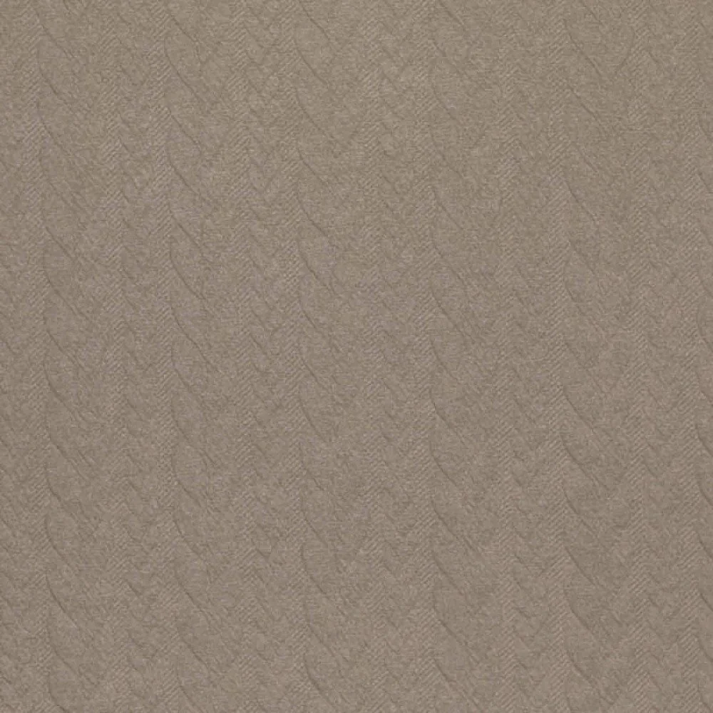 Tessuto In Maglia Jacquard Motivo a Treccia Taupe Tessuto In Maglia Motivo a Treccia Taupe - (Tessuti Moda)