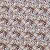 Jersey Coton Impression Numérique - Fleur Mixte Écru