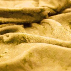 Panne Velvet Fabric Gold