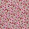 Baumwolljersey Digital - Rote Apfelblüte - (Baumwolljersey Digitaldruck)