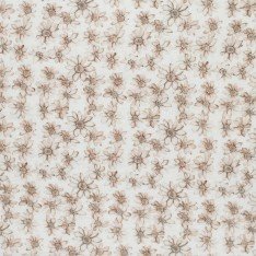 Hydrofiel Stof Digitale Print - Beige Waterlelie