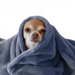 Wellness Fleece Dunkel Jeans