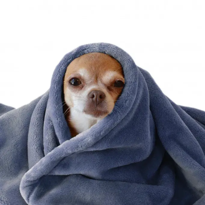 Coral Fleece Dark Jeans - (Fleece Fabrics)