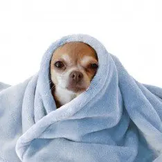 Tissu Polaire Wellness Bleu Clair