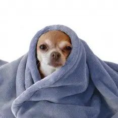 Tissu Polaire Wellness Jeans Clair