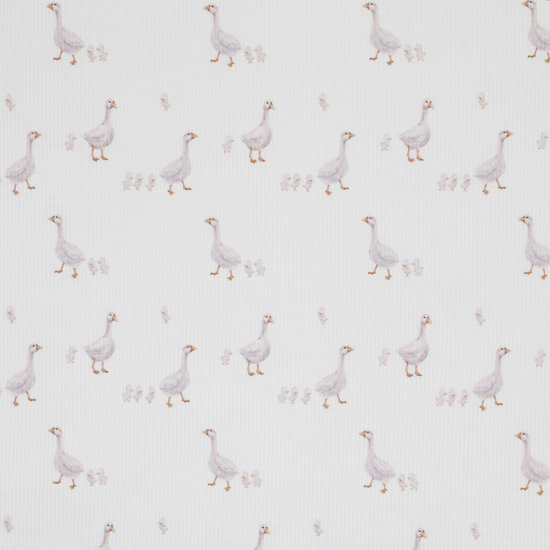 Rib Jersey Stof - Kleine Witte Eendjes