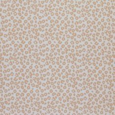 Tessuto Jersey Di Cotone Costine Stampato - Leopardato Beige Chiaro