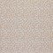 Tessuto Jersey Di Cotone Costine Stampato - Leopardato Beige Chiaro - (Jersey Tessuti)
