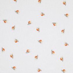 Rib Knit Jersey Fabric - Mandarins