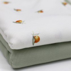 Rib Knit Jersey Fabric - Mandarins Rib Knit Jersey Fabric - Mandarins