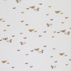 Cotton Poplin Digital Print - Ducks