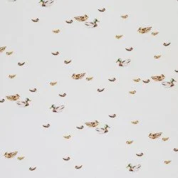 Popeline Di Cotone Stampa Digitale - Anatre