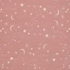 Baumwolljersey Digital - Sternenhimmel Lehm Rosa