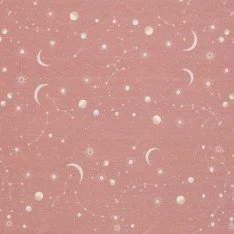Jersey Katoen Digitale Print - Sterrenhemel Klei Roze