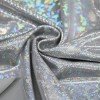 Tessuto Olografico Lycra (Vetro Infranto) Grigio Argento