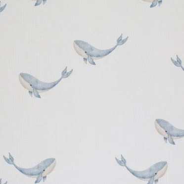 Tessuto Jersey Di Cotone Costine - Grande Balena Blu Acciaio Tessuto Jersey Di Cotone Costine - Grande Balena Blu Acciaio - (Jersey Tessuti)